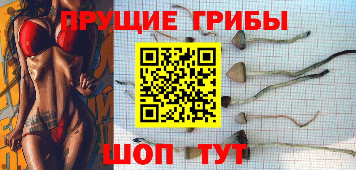 Псилоцибиновые грибы Magic Shrooms Геленджик